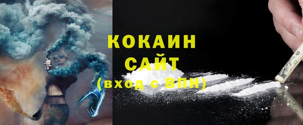 индика Володарск