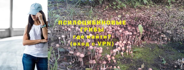 индика Володарск