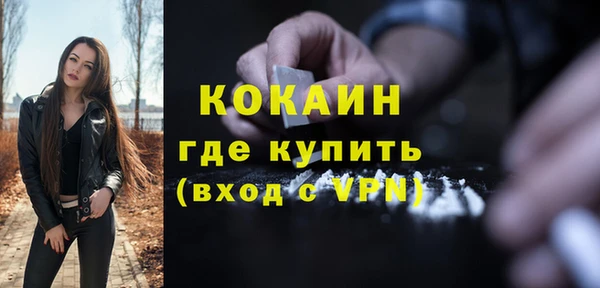 индика Володарск