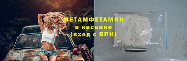 индика Володарск