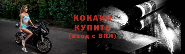 индика Володарск