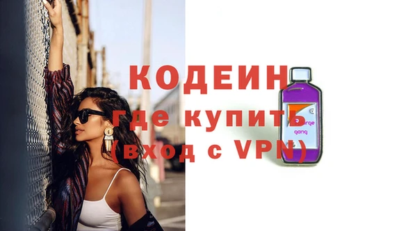индика Володарск