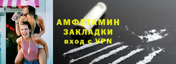 индика Володарск