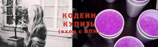 индика Володарск
