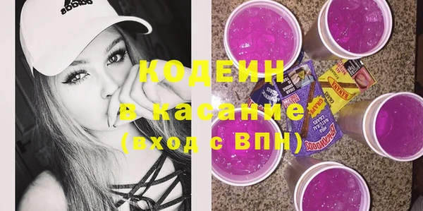индика Володарск