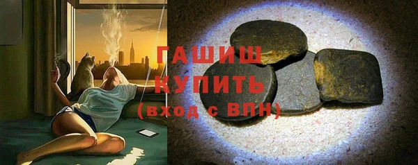 индика Володарск