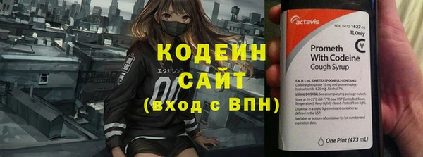индика Володарск