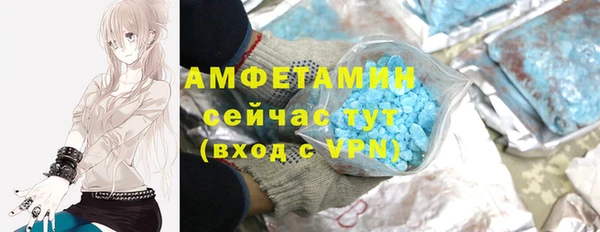 индика Володарск